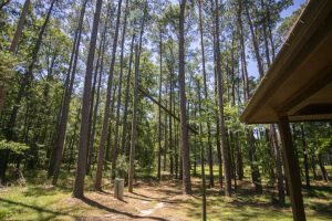 Who owns Piney Woods sanitation?