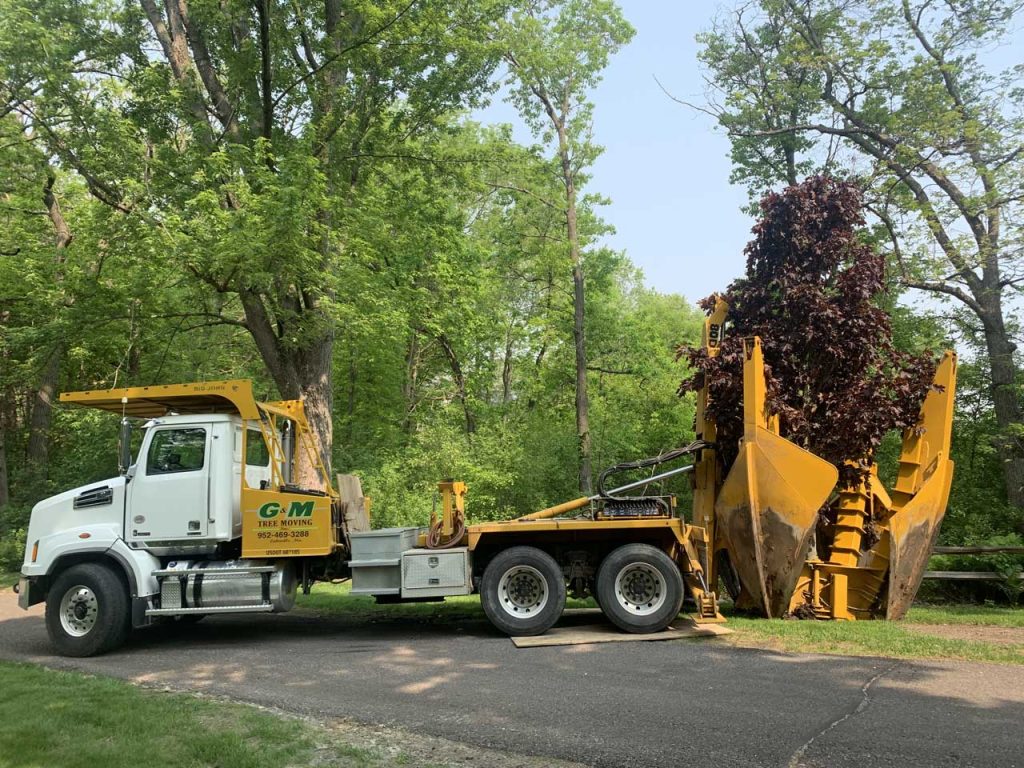 Tree Spade Service