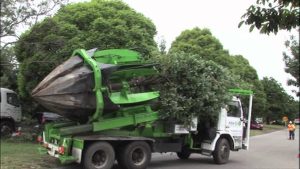 Tree Spade Service
